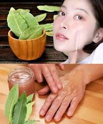 Recipe for bay leaf firming toner