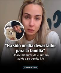 Vuela alto, Lío! 🥺🐶🐾 A través de sus redes sociales, Odalys Ramírez  abrió su corazón y reveló entre lágrimas la partida de su lomito, quien  acompañó a la familia por 10 años.