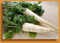 indian spices of parsley in history and uses indian spices of parsley in history and