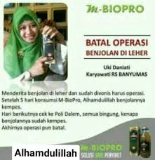 Hasil gambar untuk bio pro karawang
