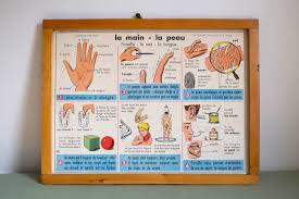 Vintage Affiche Scolaire Double Face D Ecole Francaise Des Annees 1950 1960 La Main La Peau Les Fils Et Les Tissus School Posters French School Vintage