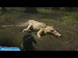 Other Rdr2 Guides Cheat Codes All Dreamcatchers Locations Secret Reward All Minigames Locations Poker Blackjack Red Dead Redemption Redemption Jack Hall