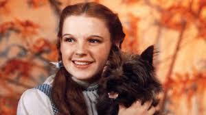 She was 71 years old. How Did Judy Garland Die Inside The Hollywood Starlet S Final Days