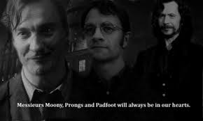 Whether for kids' activities, home decor, as planner accessories, for treats to pass out during the holidays, or a harry potter party, here's all you'll need to transform yourself to the wizarding world. Moony Harry Potter Quotes Quotesgram