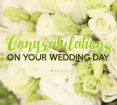 We did not find results for: Congratulations On Your Wedding Day Commentwarehouse Say It With A Pic