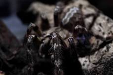 Science Saturday: Spooky Science