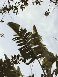 International union of aesthetic medicine (uime), south african medical association (sama), . I Love Me A South African Winter R Aesthetic