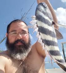 Sheephead fishbites targeting success at jetties?