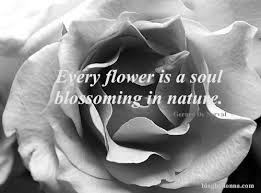 Every Flower Is A Soul Blossoming In Nature Worldofgood Ad Earthfootwear Quote Flower Quotes Inspirational Quotes Quotes