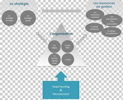 recruitment organizational chart empresa human resource