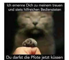 Merken Sie Sich Das Lustige Susse Katzen Katzenspruche Katzen