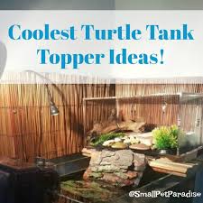 75 gallon turtle tank with above tank basking platform. Coolest Turtle Tank Topper Ideas Small Pet Paradise