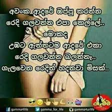 We did not find results for: Best Friends à·„ à¶¯à¶¸ à¶º à¶½ à·€ Home Facebook