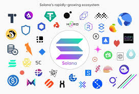 Is solana (sol) a good investment? Xsftgrojt9zwgm