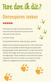 Dierensporen Zoeken Kinderen Buiten Spelen Dieren Sporen Zoeken Dieren Activiteiten Natuuractiviteiten Dieren