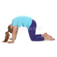 Cat Pose Kids Yoga Poses Yoga For Classrooms Namaste Kid Kids Yoga Poses Yoga For Kids Cat Pose