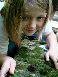 Biennial Report: 2015-2016