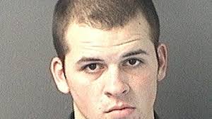 Pit bull puppies stolen in Ensley home invasion