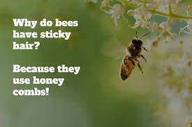 Shutterstock) by alex nelson july 24, 2019 4:33 pm (updated october 8, 2020 11:50 am) 110 Of The Best Jokes For Kids That Are Genuinely Funny