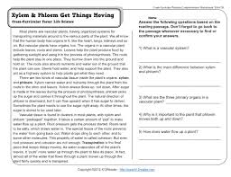 9th grade reading comprehension worksheets. English Comprehension Worksheets Grade 9 Free English Grade 9 Exercises And Tests Worksheets Pdf