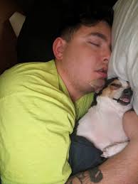 Crazy meko, he sleeps like this a lot