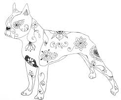 Pin On Grooming