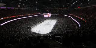 The team is a member of the pacific division of the western conference of the national hockey league(nhl). Section 217 At T Mobile Arena Vegas Golden Knights Rateyourseats Com