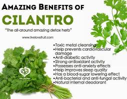 Someone from trg & 71 others telah dapatkan tawaran ini. Cilantro Leaves In Malay