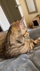 Anthony Pung (@anthonypung)