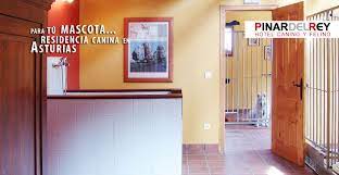 Maybe you would like to learn more about one of these? El Hotel Hotel Canino Pinar Del Reyhotel Canino Pinar Del Rey