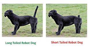 The Weird Reasons Why Humans Started Docking Dog Tails Bark Post
