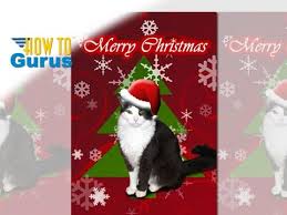 Set of 5 christmas cat designs in a pack of blank cards. How To Make A Family Christmas Card In Photoshop Elements Youtube