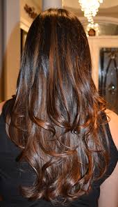 Highlights Natural Brown Caramel On Dark Brown Black Hair Black Hair With Highlights Hair Styles Caramel Hair