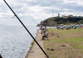 Michelle comi onlyfans xxx Home Sign up Log in Support