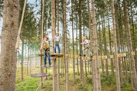 Hoch Hinaus Hochseilgarten Allgau Allgau Centerparcs Klettern Action In 2020 Outdoor Structures Outdoor Garden Arch