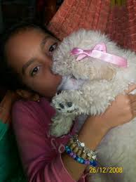 Vicky, mas que una mascota, una alegría en mis días... — Steemit