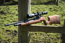 Looking for reasonable recommendation for an air gun for pest control. Cheap Pcp Air Rifles From Under 500 To Under 1000