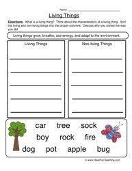 Culminate your studies with writing! Living And Non Living Things Worksheets Have Fun Teaching Characteristics Of Living Things 2nd Grade Worksheets 1st Grade Worksheets