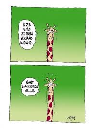 Pin Op Card Designer Toon Van Driel