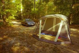 And we are known for our pinelands. Pitch A Tent And Sleep Under The Stars At These N J State Forests And Parks Jersey S Best
