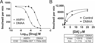 Image result for Dimethylamylamine