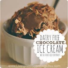 dairy free chocolate ice cream with