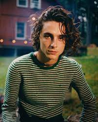 For chalamet, he'll step into a linage of popular actors that include comedy legend wilder and pop culture icon depp. Timothee Chalamet For Gq Magazine S S 2021 Issue Timothee Chalamet Gq Gq Magazine