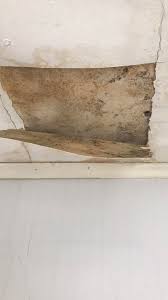 Check spelling or type a new query. Is This Mold It S My Bedroom Ceiling And It Leaks Pretty Badly Whatisthisthing