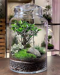 Pin By Vivarium Maniac On Terraario In 2020 Succulent Terrarium Garden Terrarium Mini Garden