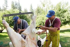 The kill fee alone will be between $25 to $50 before the processing even begins. Amid Pandemic Meat Shortage A Stampede For Local Beef Crosscut