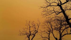 Menschen von überall her riefen an. Wetterphanomen Uber Europa Saharastaub Sorgt Auch In Spanien Und Frankreich Fur Schlagzeilen Panorama Stuttgarter Nachrichten