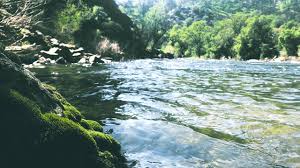 We did not find results for: Moss Light Kings River California Instagram