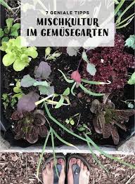 Nutzgarten Planen Und Anbauplan Erstellen Mischkultur Nutzgarten Anlegen Kuchengarten