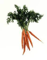 How To Make Seed Tapes For Carrot Seeds Seed Tape Growing Carrots Carrots